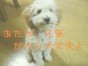 ココナツ ちゃん