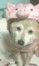 あゆ ちゃん