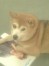 ☆タオ☆ ちゃん