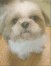 暖 ちゃん