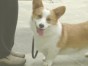 コーシ ちゃん