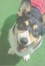 サラン ちゃん